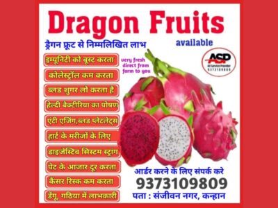 Dragon Fruits